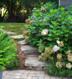 Sequoyah Landscaping